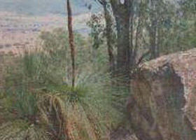 Mount Lawson State Park - Accommodation BNB 0
