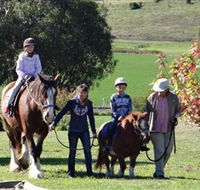 Bathurst Farm Experience - Accommodation BNB