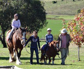 Bathurst Farm Experience - Accommodation BNB 0