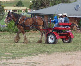 Bathurst Farm Experience - Accommodation BNB 3