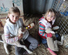Bathurst Farm Experience - Accommodation BNB 4