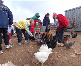 Bathurst Farm Experience - Accommodation BNB 2