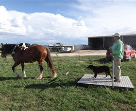 Bathurst Farm Experience - Accommodation BNB 6