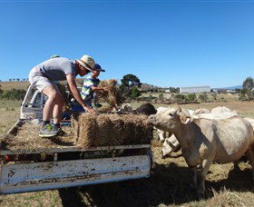 Bathurst Farm Experience - Accommodation BNB 5