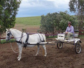 Bathurst Farm Experience - Accommodation BNB 8