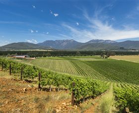 Feathertop Winery - Accommodation BNB 3
