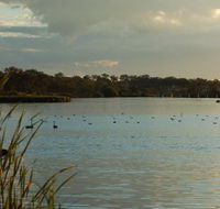 Lake Inverell Reserve - Accommodation BNB