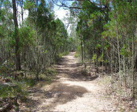 Goonoowigall State Conservation Area - Accommodation BNB 1