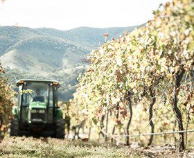 Logan Wines - Accommodation BNB 5
