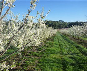 Rayner's Orchard - Accommodation BNB 6