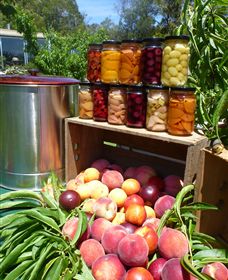 Rayner's Orchard - Accommodation BNB 8