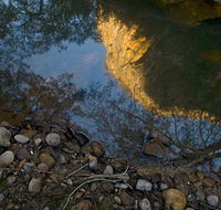 Abercrombie Karst Conservation Reserve - Accommodation BNB