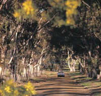 Albert Facey Heritage Trail - Accommodation BNB