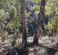 Mount Gray walking track - Accommodation BNB