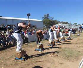 Quirindi Rural Heritage Village - Accommodation BNB 1