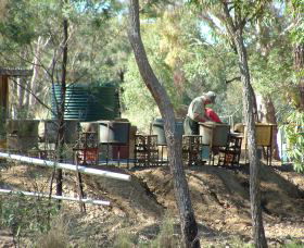 7 Oaks Sapphire Fossicking - Accommodation BNB 0