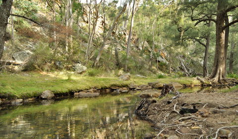 Capertee National Park - Accommodation BNB 0