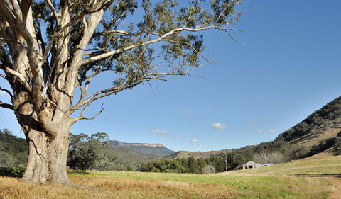 Capertee National Park - Accommodation BNB 2