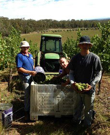 Toppers Mountain Wines - Accommodation BNB 2