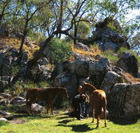 Coomba Falls - Accommodation BNB