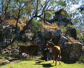 Coomba Falls - Accommodation BNB 0