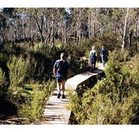 Hume and Hovell Walking Track - Henry Angel Trackhead - Accommodation BNB