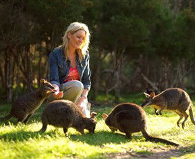 Pearcedale VIC Accommodation BNB