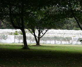 Staindl Wines - Accommodation BNB 0