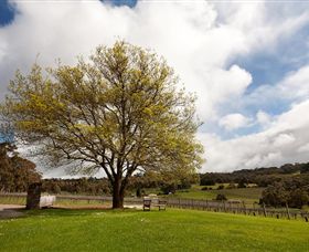 Tuck's Ridge - Accommodation BNB 2