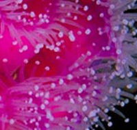 Yaringa Marine National Park - Accommodation BNB