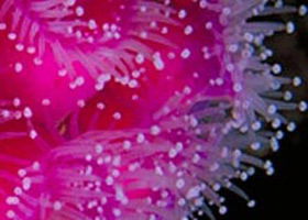Yaringa Marine National Park - Accommodation BNB 0