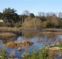 Coolart Wetlands and Homestead - Accommodation BNB