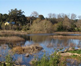 Coolart Wetlands And Homestead - Accommodation BNB 0