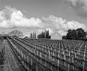 Willow Creek Vineyard - Accommodation BNB 0