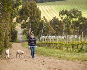 Willow Creek Vineyard - Accommodation BNB 1