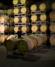 Willow Creek Vineyard - Accommodation BNB 2