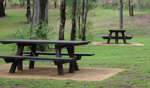 Towarri National Park - Accommodation BNB 2