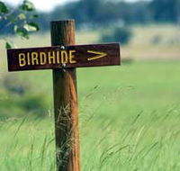 Wooroolin Wetland - Accommodation BNB