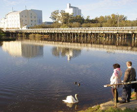 Avon River - Accommodation BNB 1