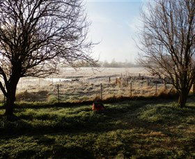 Jannei Artisan Cheese Makers - Accommodation BNB 2