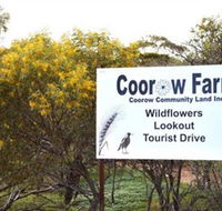 Coorow Farm Wildflower Trail - Accommodation BNB