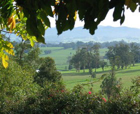 Brandy Creek Wines & View Cafe - Accommodation BNB 5