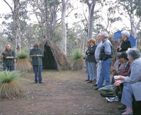 Dryandra Woodland - Accommodation BNB 2