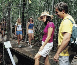 Toowoomba Water Bird Habitat - Accommodation BNB 1