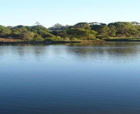 Toowoomba Water Bird Habitat - Accommodation BNB 2
