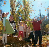 Cotter Avenue recreation area - Accommodation BNB
