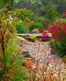 Ungulla Country Garden - Accommodation BNB 1