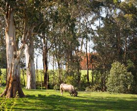 Ungulla Country Garden - Accommodation BNB 8