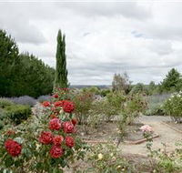 Crystal Brook Lavender Farm - Accommodation BNB