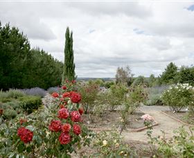 Crystal Brook Lavender Farm - Accommodation BNB 0